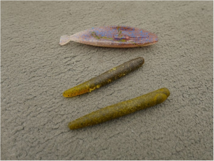 truth ブログ写真 2019/06/26