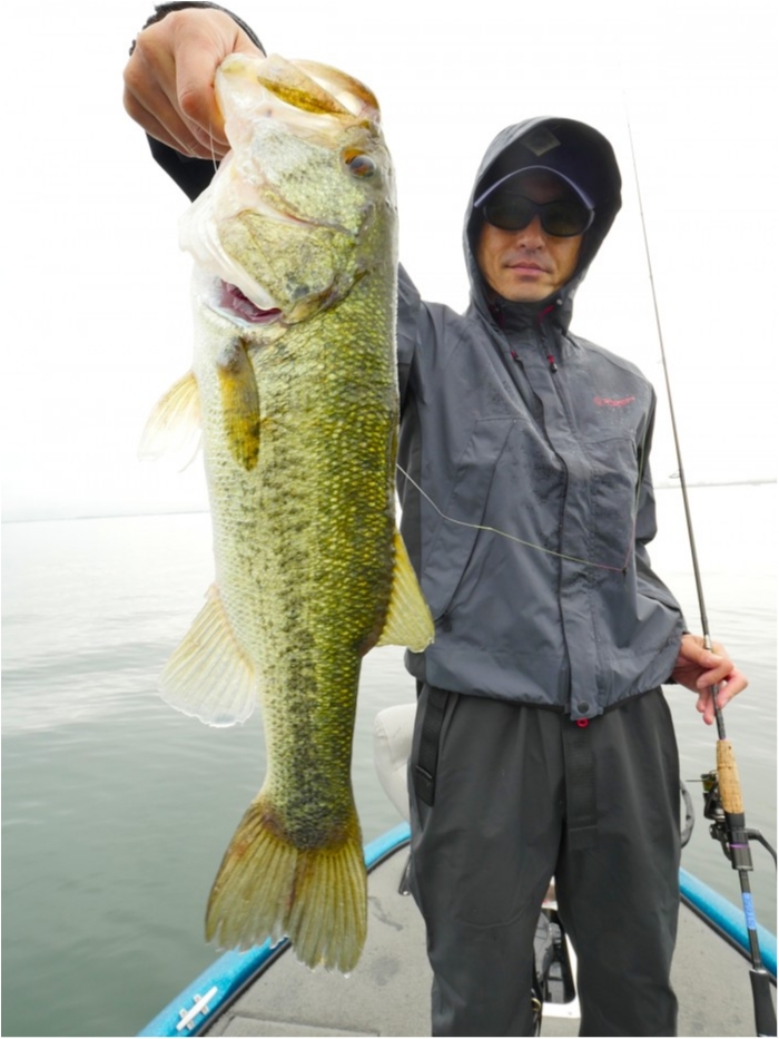 truth ブログ写真 2019/07/01