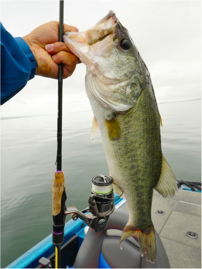 truth ブログ写真 2019/07/01