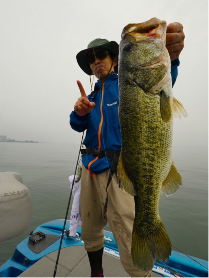 truth ブログ写真 2019/07/03