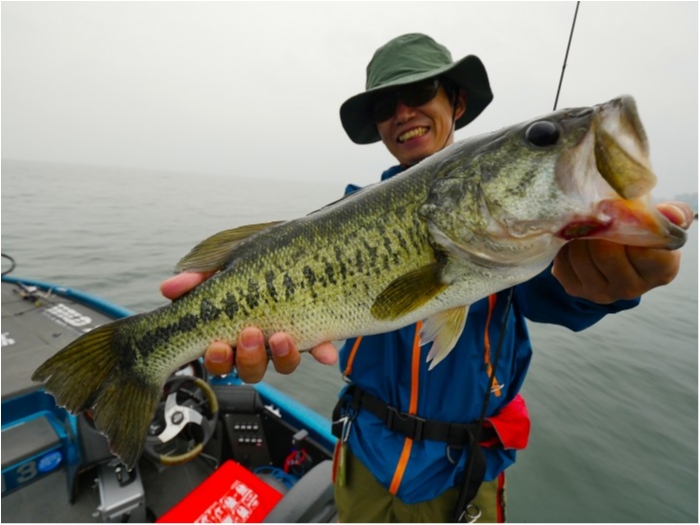 truth ブログ写真 2019/07/03