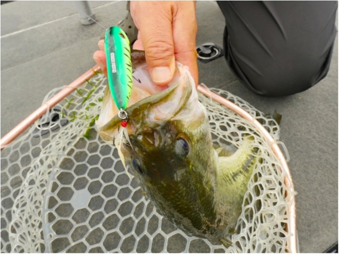 truth ブログ写真 2019/07/03