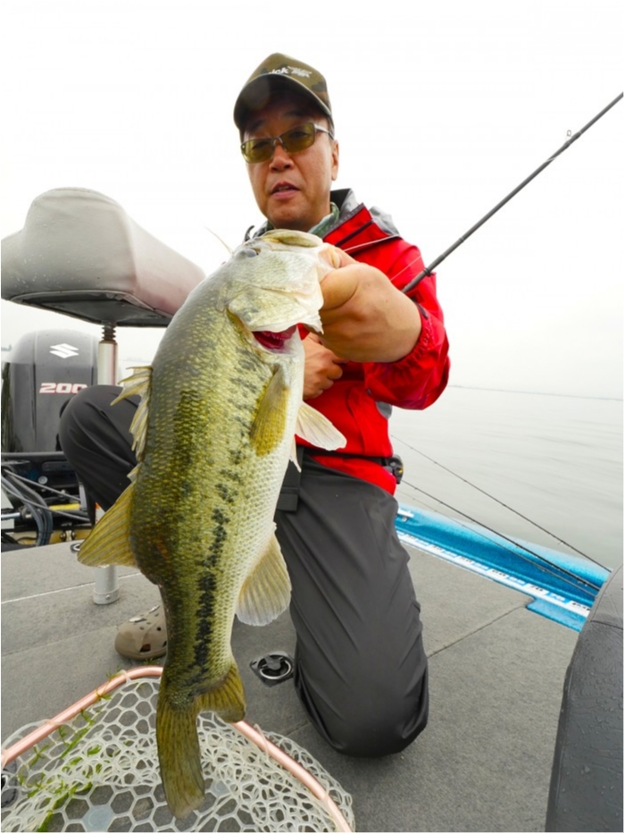 truth ブログ写真 2019/07/03