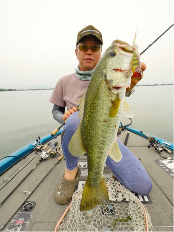 truth ブログ写真 2019/07/03