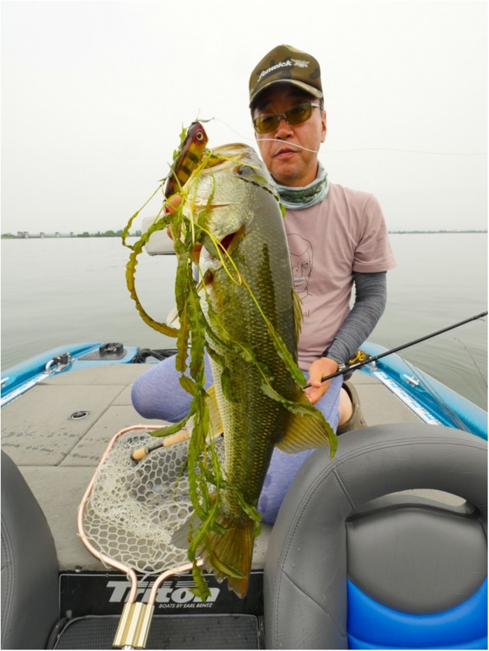 truth ブログ写真 2019/07/03