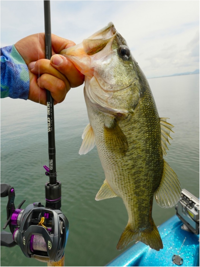 truth ブログ写真 2019/07/04