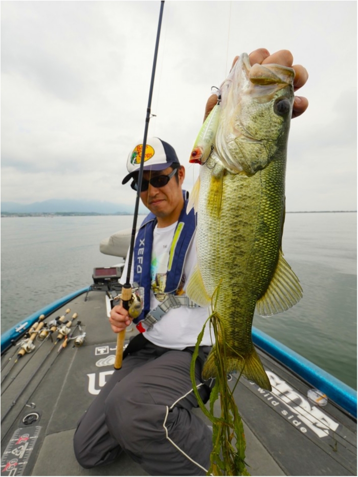 truth ブログ写真 2019/07/04