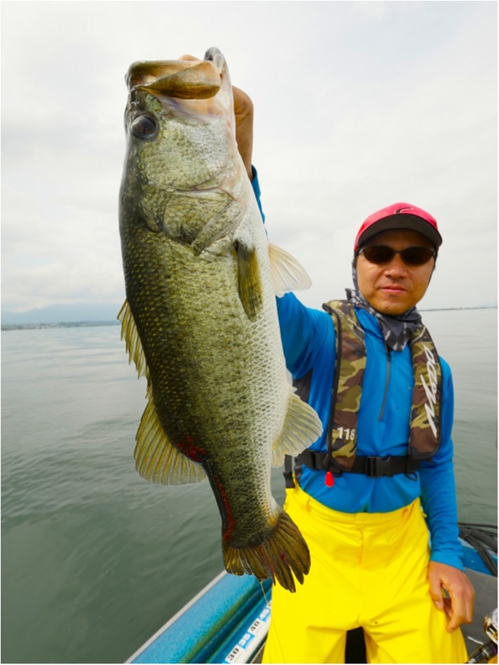 truth ブログ写真 2019/07/04