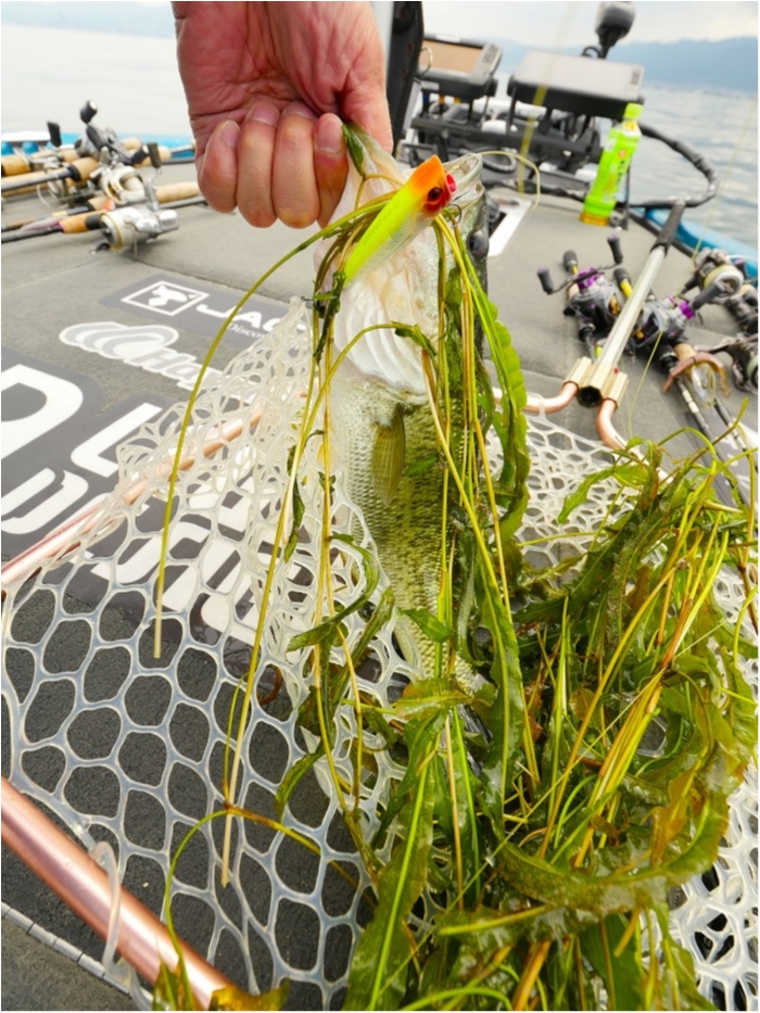 truth ブログ写真 2019/07/04