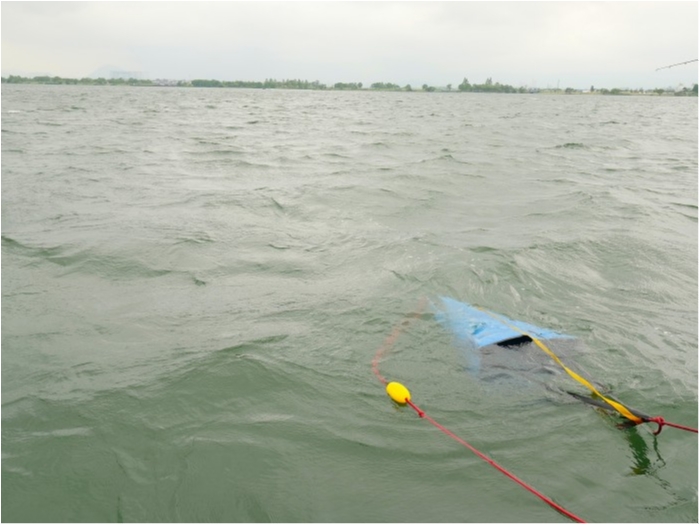 truth ブログ写真 2019/07/05