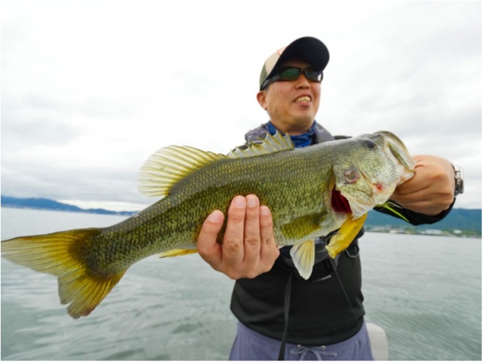 truth  ブログ写真 2019/07/06