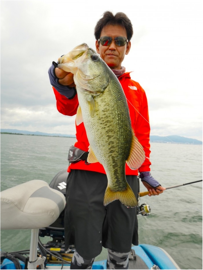 truth  ブログ写真 2019/07/06