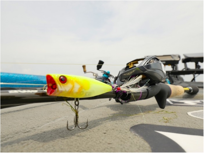 truth  ブログ写真 2019/07/08