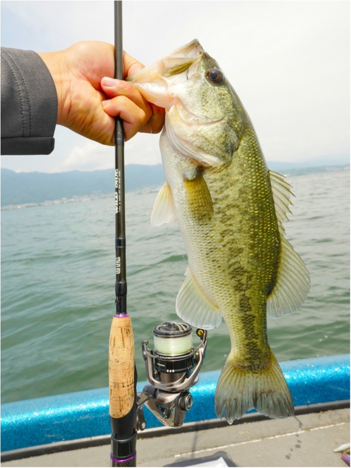 truth  ブログ写真 2019/07/08