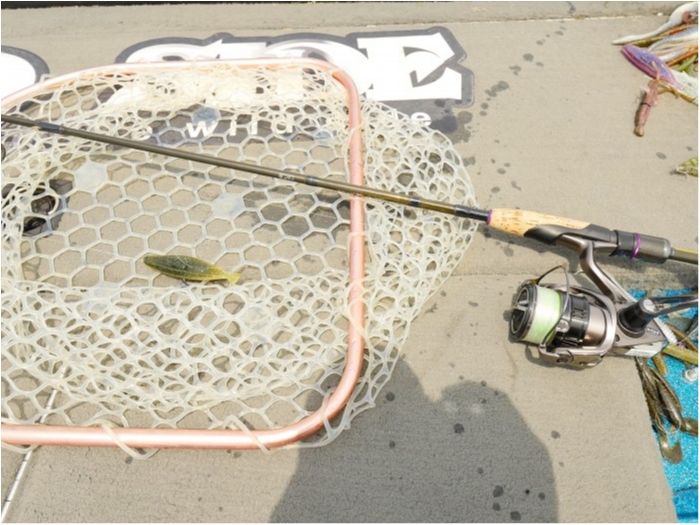 truth  ブログ写真 2019/07/08