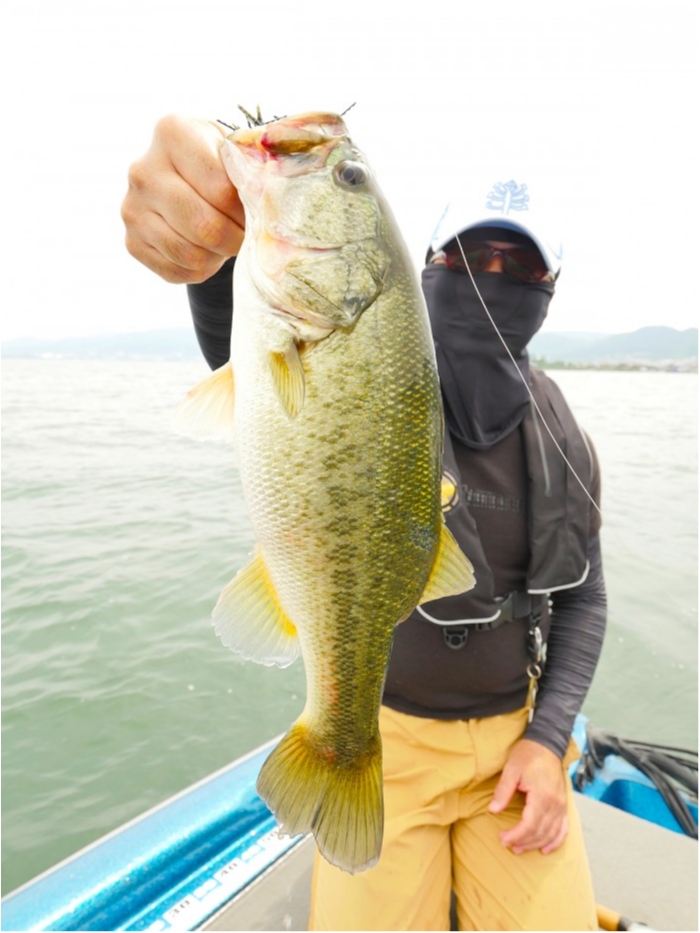 truth  ブログ写真 2019/07/08