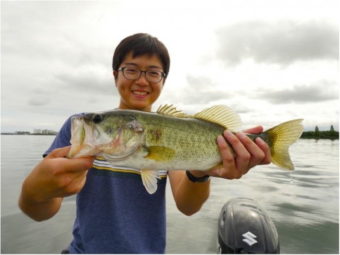 truth  ブログ写真 2019/07/12