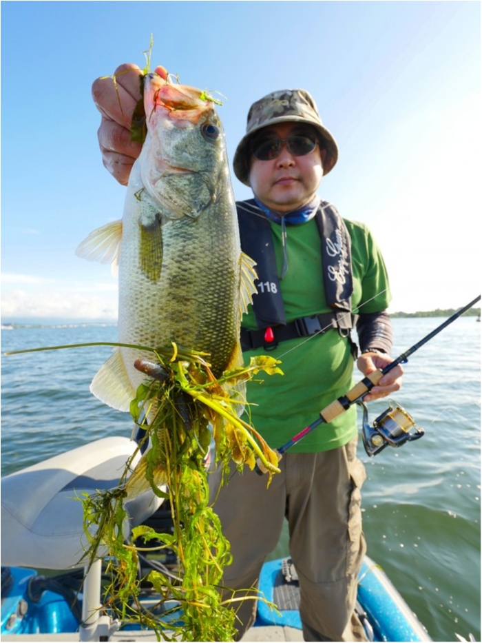 truth  ブログ写真 2019/07/15