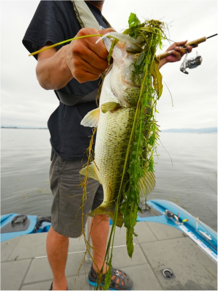 truth  ブログ写真 2019/07/16