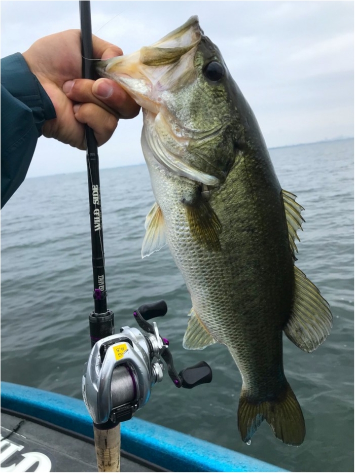 truth  ブログ写真 2019/07/18