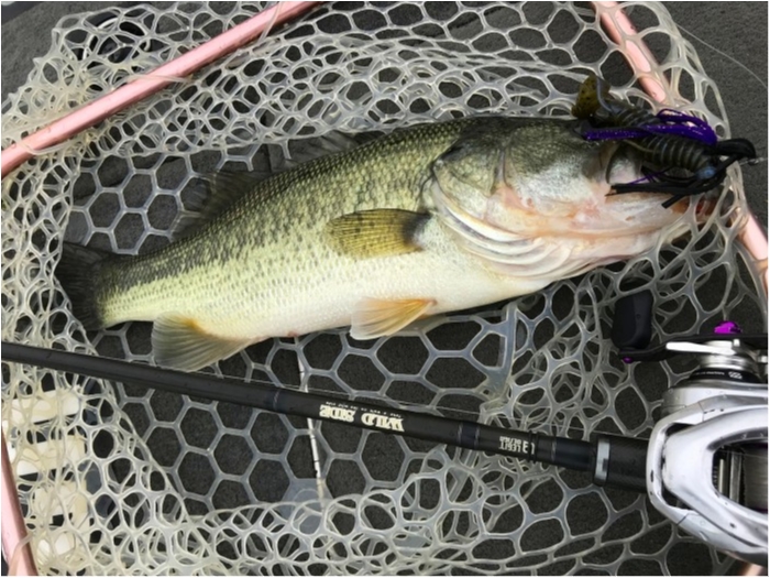 truth  ブログ写真 2019/07/18