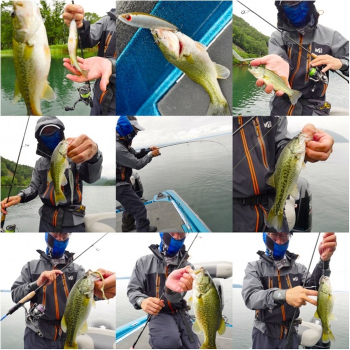 truth ブログ写真 2019/07/19