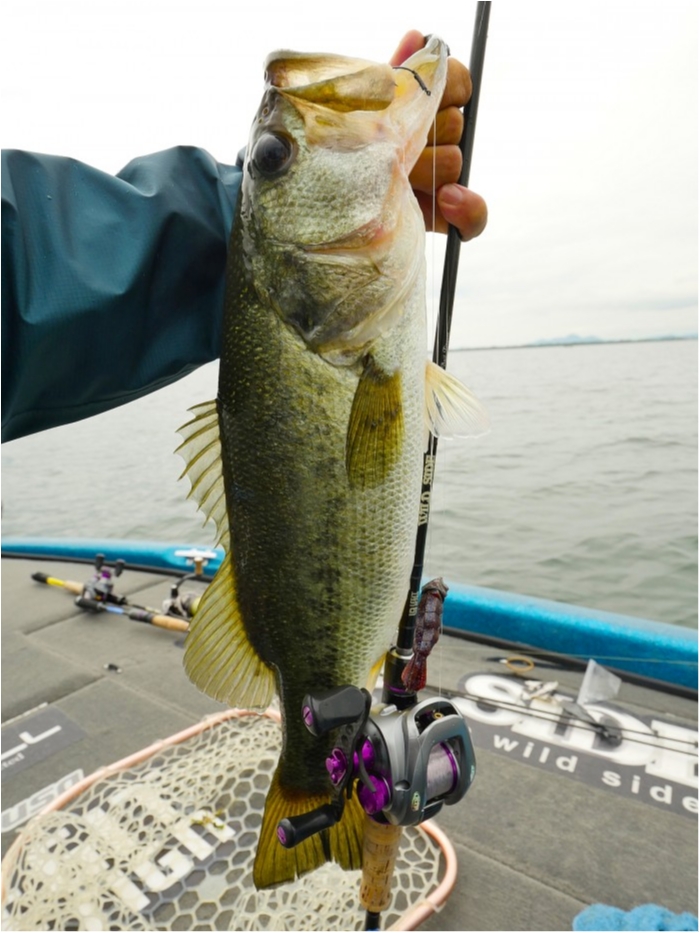 truth ブログ写真 2019/07/19