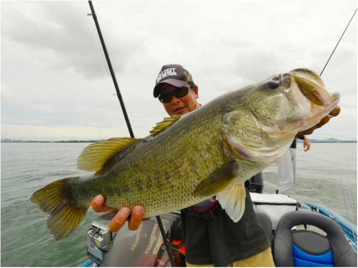 truth ブログ写真 2019/07/22