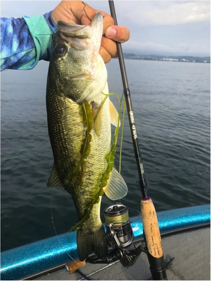 truth  ブログ写真 2019/07/25