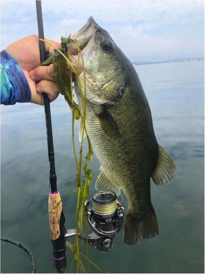 truth  ブログ写真 2019/07/25