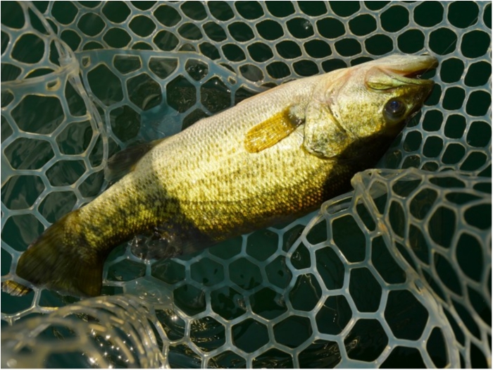 truth ブログ写真 2019/07/25