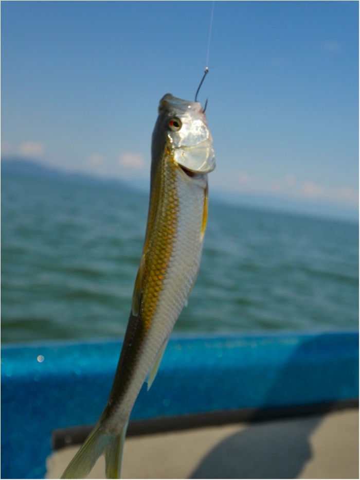 truth ブログ写真 2019/07/25