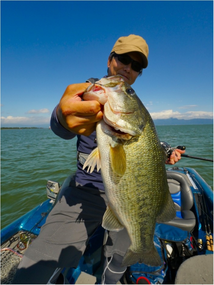 truth  ブログ写真 2019/07/26