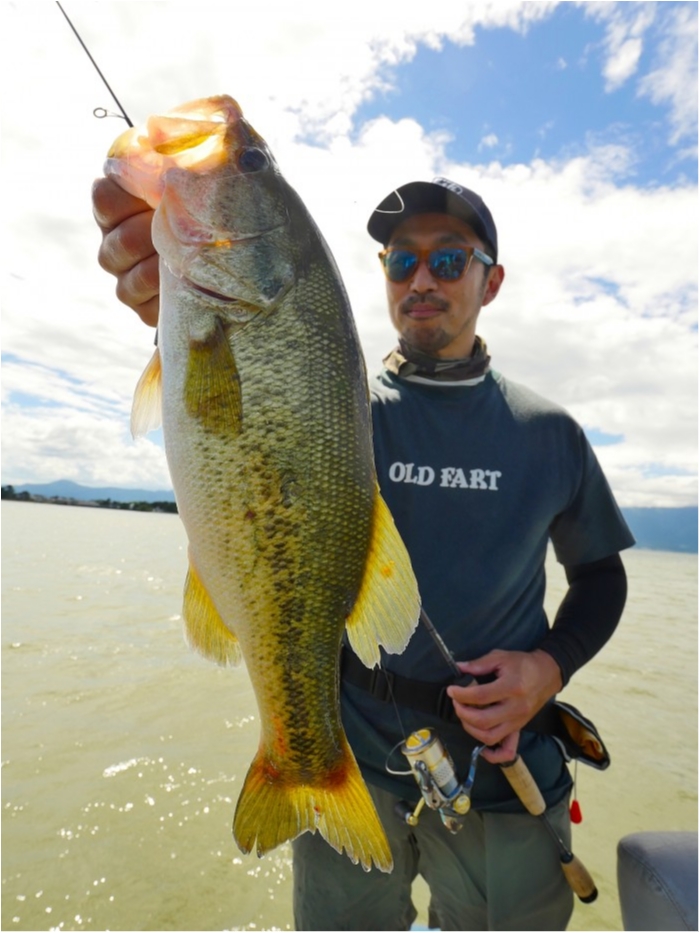 truth  ブログ写真 2019/07/26