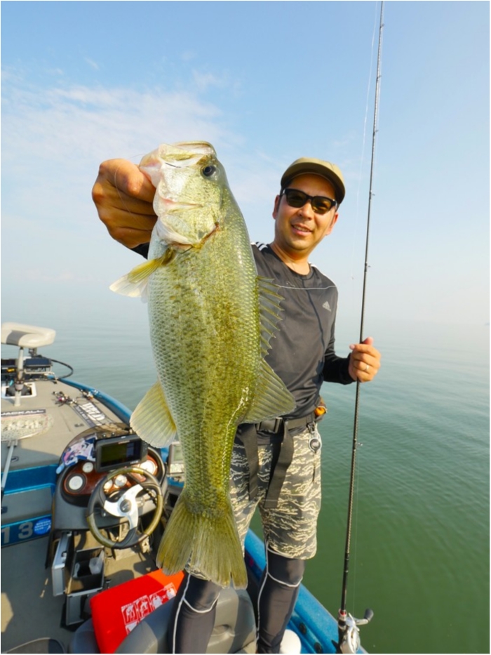 truth  ブログ写真 2019/08/01