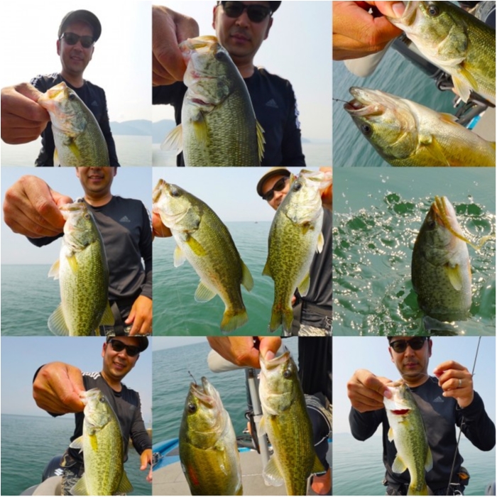 truth  ブログ写真 2019/08/01