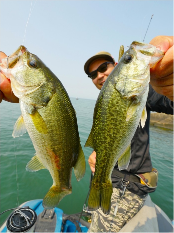 truth  ブログ写真 2019/08/01