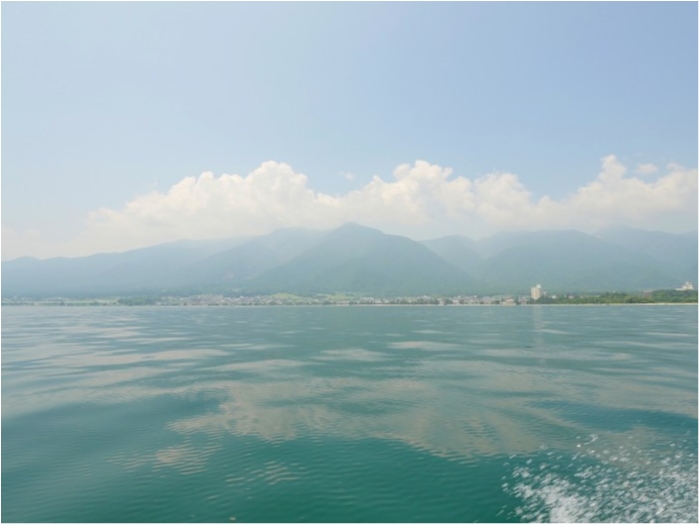 truth  ブログ写真 2019/08/03