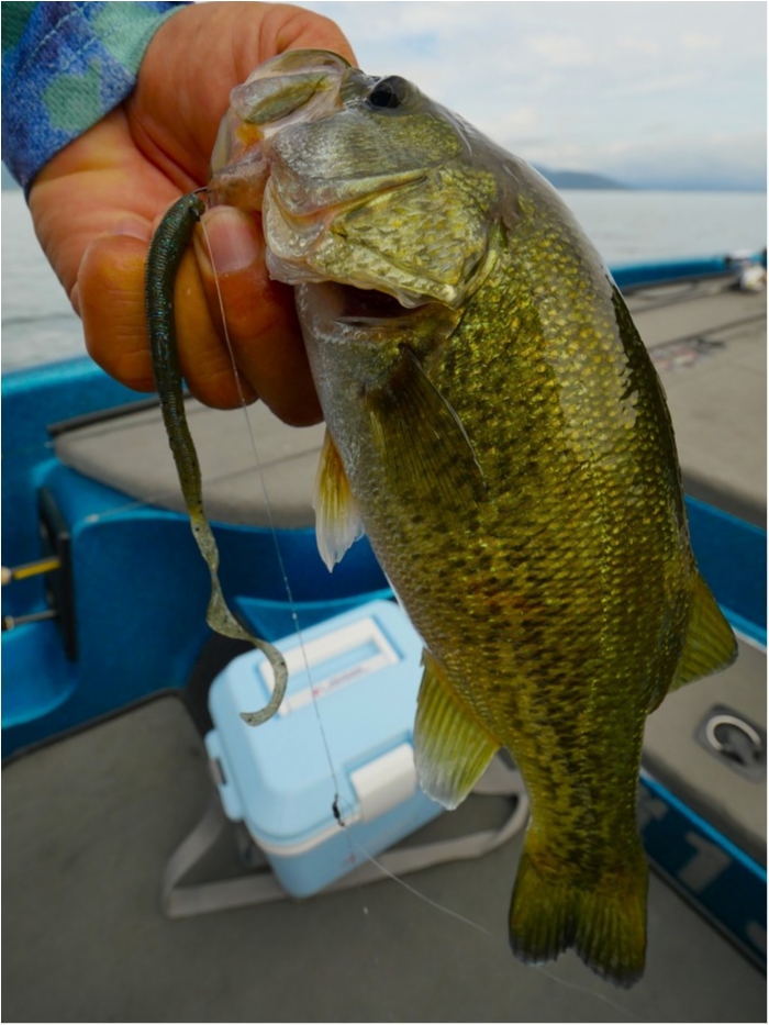 truth  ブログ写真 2019/08/06