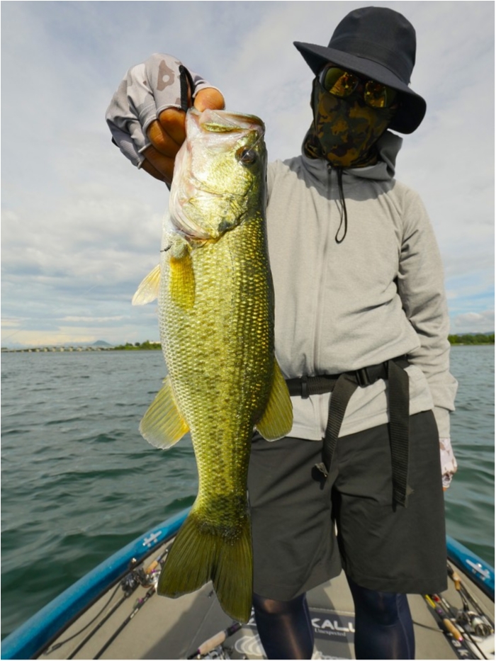 truth  ブログ写真 2019/08/06