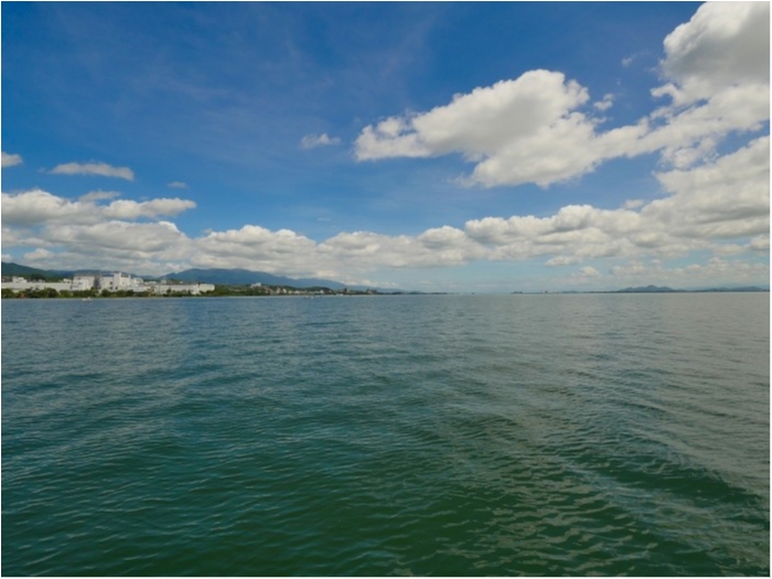 truth  ブログ写真 2019/08/07