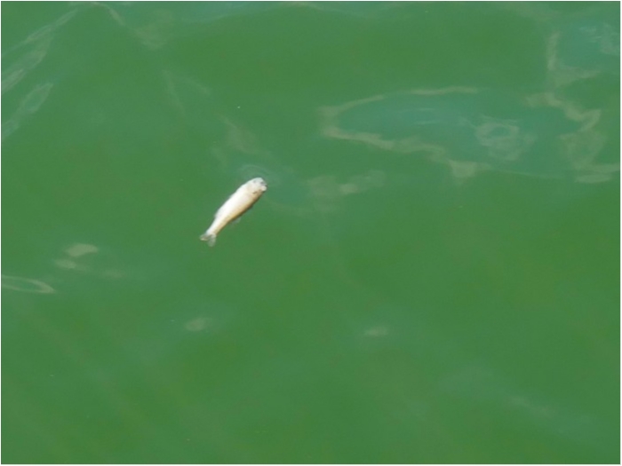 truth  ブログ写真 2019/08/07