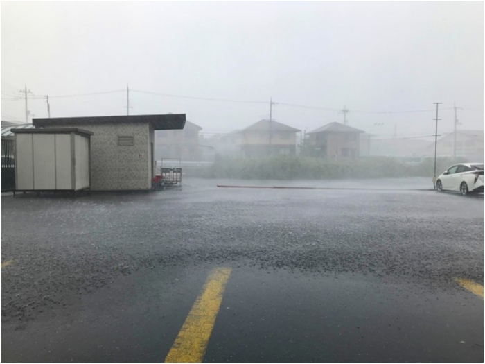 truth  ブログ写真 2019/08/07