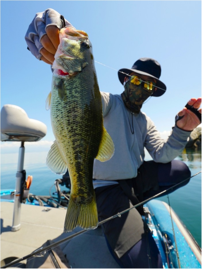 truth  ブログ写真 2019/08/08