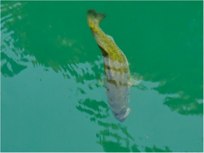 truth  ブログ写真 2019/08/08