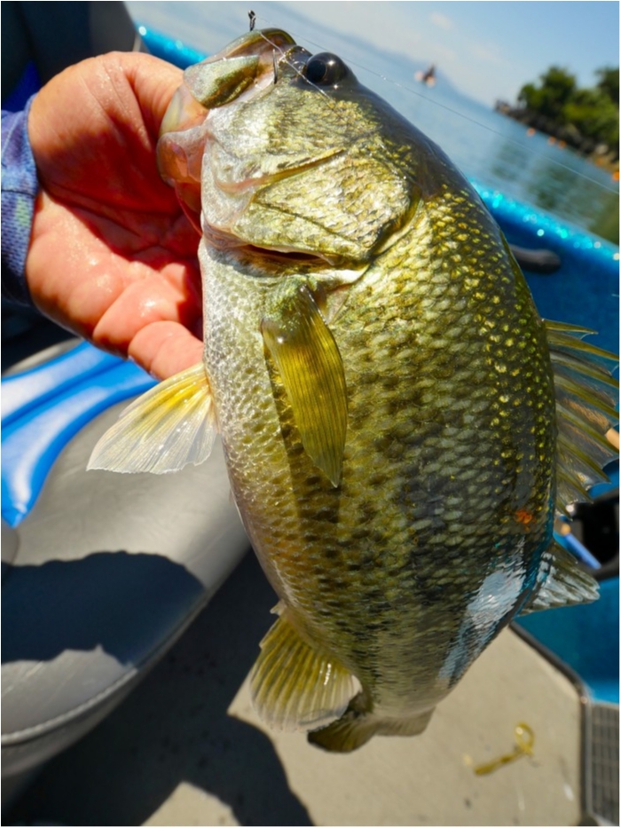 truth  ブログ写真 2019/08/08