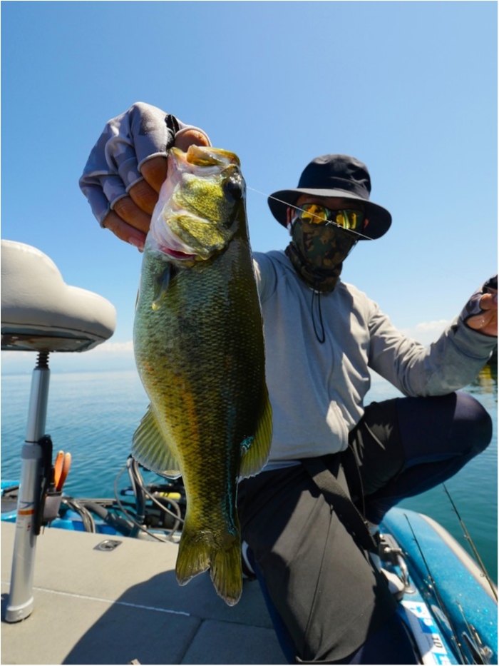 truth  ブログ写真 2019/08/08