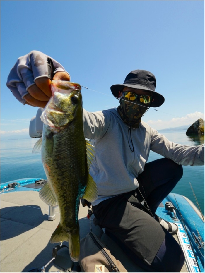 truth  ブログ写真 2019/08/08