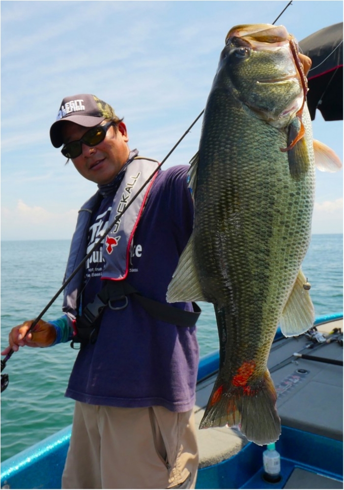 truth  ブログ写真 2019/08/10