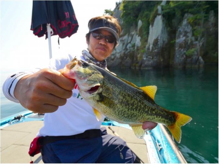 truth  ブログ写真 2019/08/10